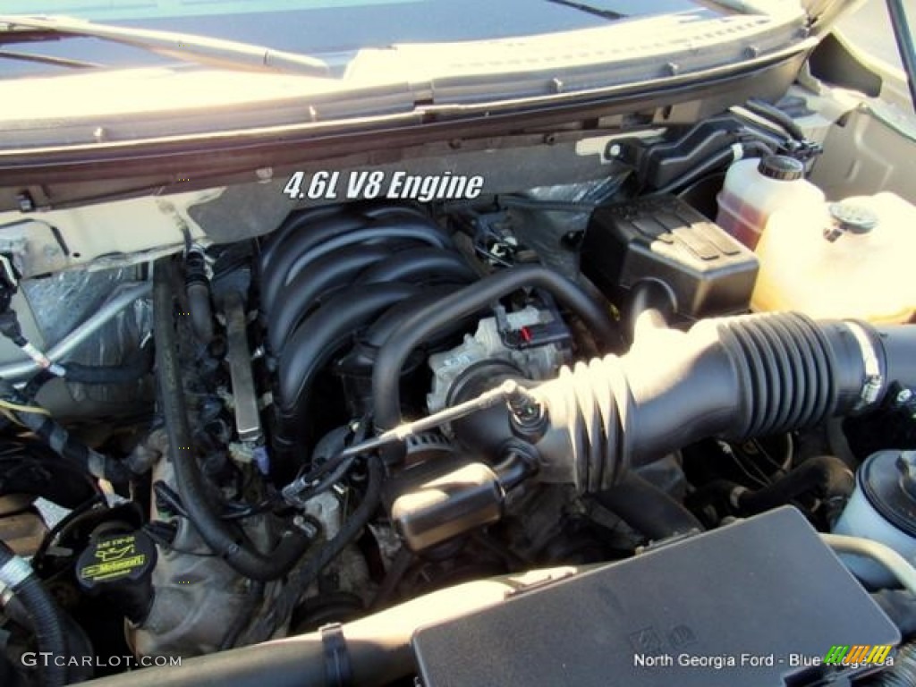 2010 F150 XLT SuperCrew 4x4 - Pueblo Gold Metallic / Tan photo #9