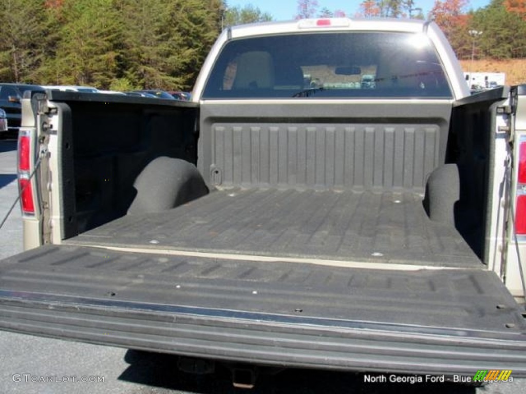 2010 F150 XLT SuperCrew 4x4 - Pueblo Gold Metallic / Tan photo #15