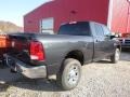 2017 Maximum Steel Metallic Ram 3500 Tradesman Crew Cab 4x4  photo #8