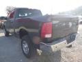 2017 Maximum Steel Metallic Ram 3500 Tradesman Crew Cab 4x4  photo #10