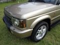 White Gold - Discovery SE7 Photo No. 48