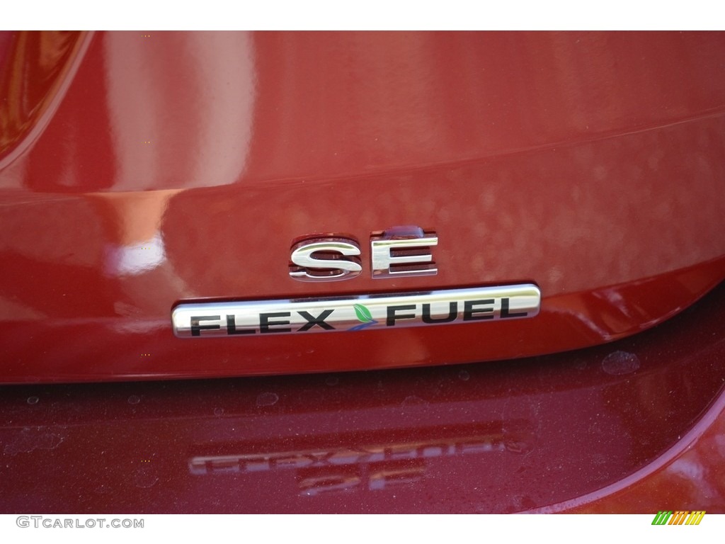 2016 Focus SE Sedan - Ruby Red / Medium Light Stone photo #5
