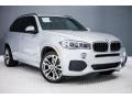 Glacier Silver Metallic - X5 xDrive35d Photo No. 12