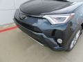 2017 Galactic Aqua Mica Toyota RAV4 Platinum  photo #10