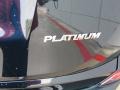 2017 Galactic Aqua Mica Toyota RAV4 Platinum  photo #14