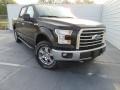 2017 Magnetic Ford F150 XLT SuperCrew 4x4  photo #2