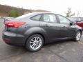 Magnetic - Focus SE Sedan Photo No. 2