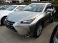 Atomic Silver - NX 200t AWD Photo No. 1