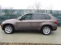 Sparkling Bronze Metallic - X5 xDrive35i Premium Photo No. 8