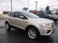2017 White Gold Ford Escape SE 4WD  photo #3