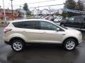 2017 White Gold Ford Escape SE 4WD  photo #4
