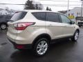2017 White Gold Ford Escape SE 4WD  photo #5