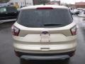 2017 White Gold Ford Escape SE 4WD  photo #6