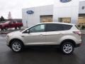 2017 White Gold Ford Escape SE 4WD  photo #9