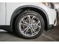 Alpine White - X1 sDrive28i Photo No. 9