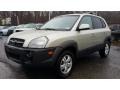 Platinum Silver - Tucson SE 4WD Photo No. 3