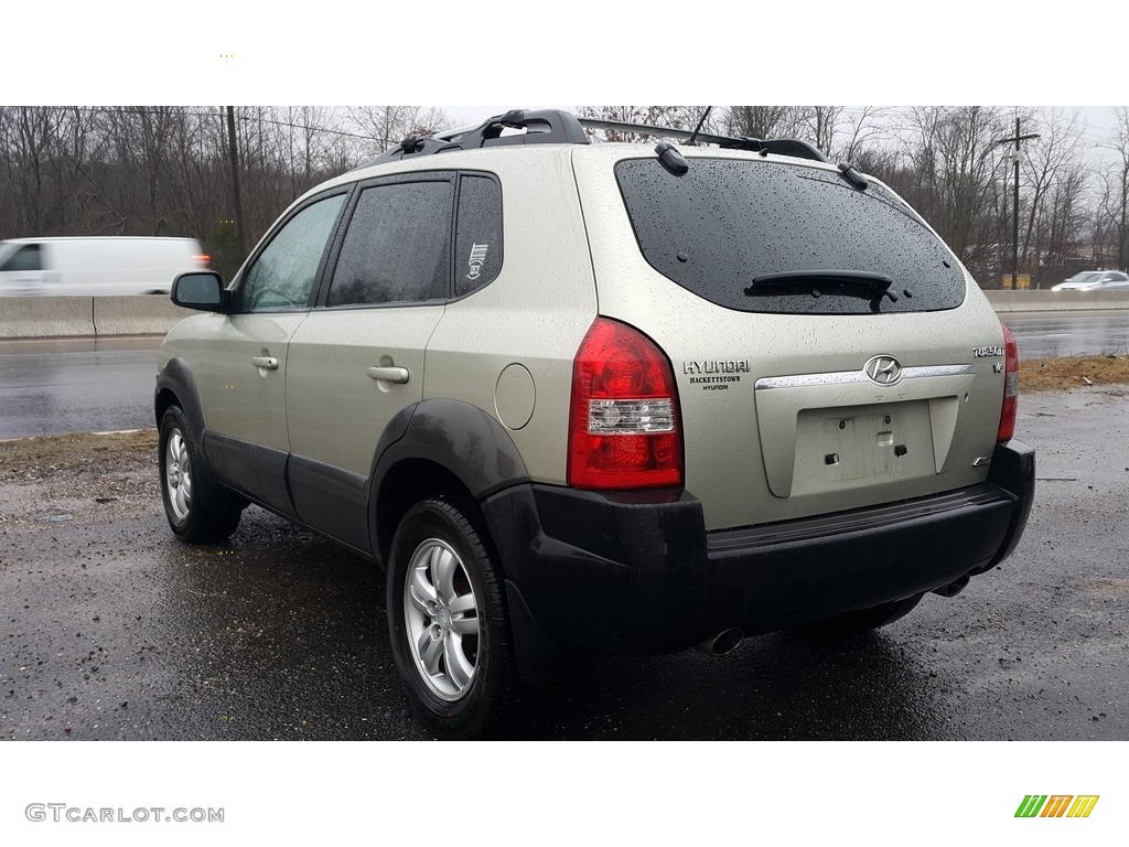 2008 Tucson SE 4WD - Platinum Silver / Beige photo #5