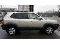Platinum Silver - Tucson SE 4WD Photo No. 8