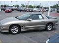 Pewter Metallic - Firebird Coupe Photo No. 2