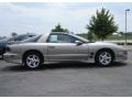 Pewter Metallic - Firebird Coupe Photo No. 6