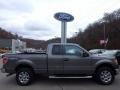 Sterling Gray Metallic - F150 XLT SuperCab 4x4 Photo No. 1