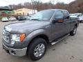 Sterling Gray Metallic - F150 XLT SuperCab 4x4 Photo No. 6