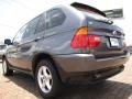 2003 Steel Grey Metallic BMW X5 3.0i  photo #3