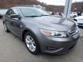 Sterling Grey - Taurus SEL Photo No. 8