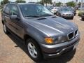 Steel Grey Metallic - X5 3.0i Photo No. 15