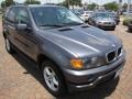 2003 Steel Grey Metallic BMW X5 3.0i  photo #15