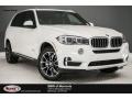 Alpine White - X5 sDrive35i Photo No. 1