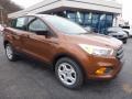 2017 Canyon Ridge Ford Escape S  photo #10