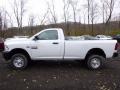 Bright White 2017 Ram 2500 Tradesman Regular Cab 4x4 Exterior