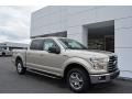 White Gold 2017 Ford F150 Gallery
