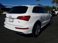 Ibis White - Q5 3.0 TFSI Premium Plus quattro Photo No. 5