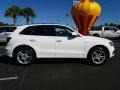 Ibis White - Q5 3.0 TFSI Premium Plus quattro Photo No. 6