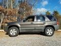 Tungsten Grey Metallic - Escape XLT V6 4WD Photo No. 5