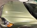 Willow Green Opal - Outback 2.5i Wagon Photo No. 36