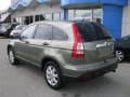 2009 Green Tea Metallic Honda CR-V EX 4WD  photo #4