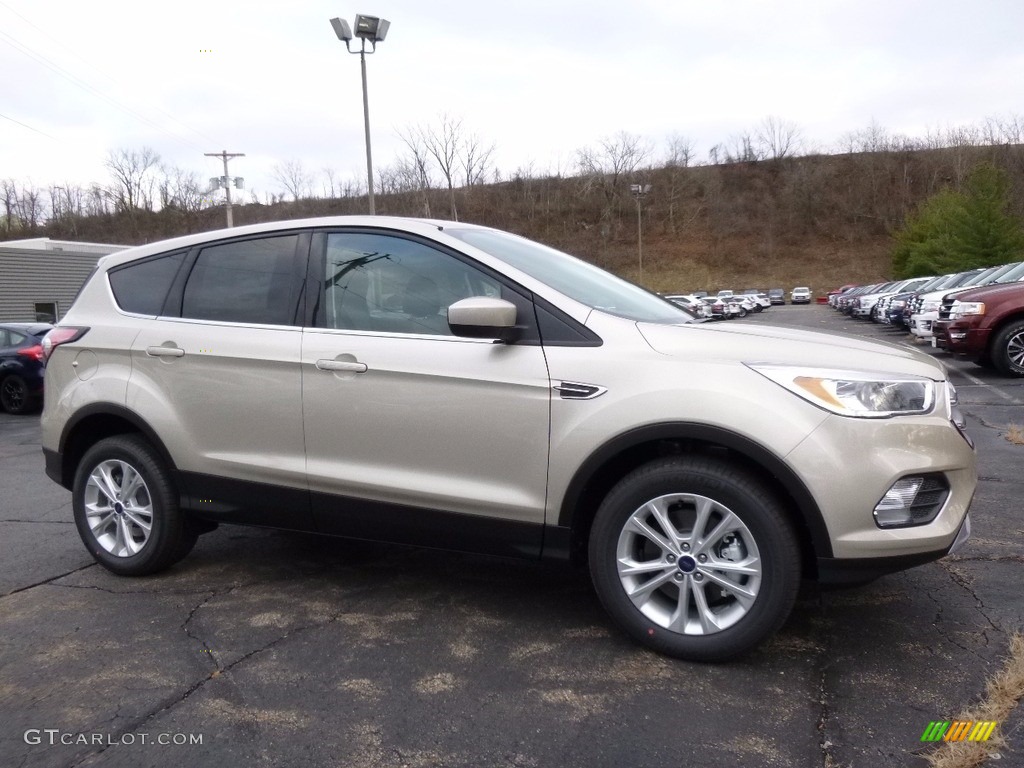 White Gold Ford Escape