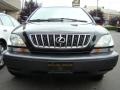 Black Onyx - RX 300 AWD Photo No. 2