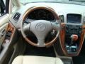 Black Onyx - RX 300 AWD Photo No. 11