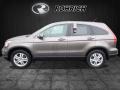 2010 Alabaster Silver Metallic Honda CR-V EX-L AWD  photo #4