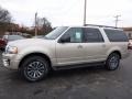 2017 White Gold Ford Expedition EL XLT 4x4  photo #5