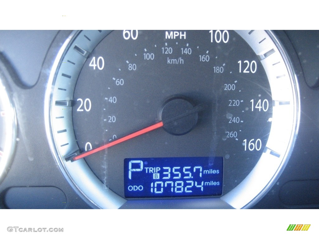 2010 Sonata SE V6 - Slate Blue / Gray photo #7
