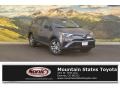 Magnetic Gray Metallic - RAV4 LE Photo No. 1