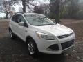 White Platinum Metallic Tri-Coat - Escape SE 1.6L EcoBoost Photo No. 4