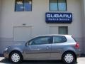 United Grey Metallic - Rabbit 2 Door Photo No. 6