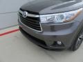 Predawn Gray Mica - Highlander XLE Photo No. 10