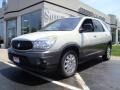 Cappuccino Frost Metallic 2005 Buick Rendezvous CX AWD